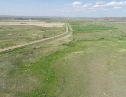 Havre South Slope Flatting